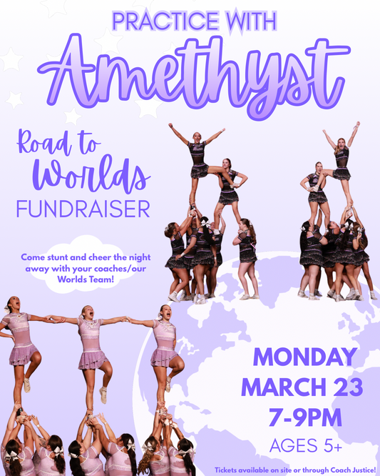 Stunt With Amethyst Worlds Fundraiser